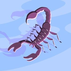 Meet your Posher, Saidou